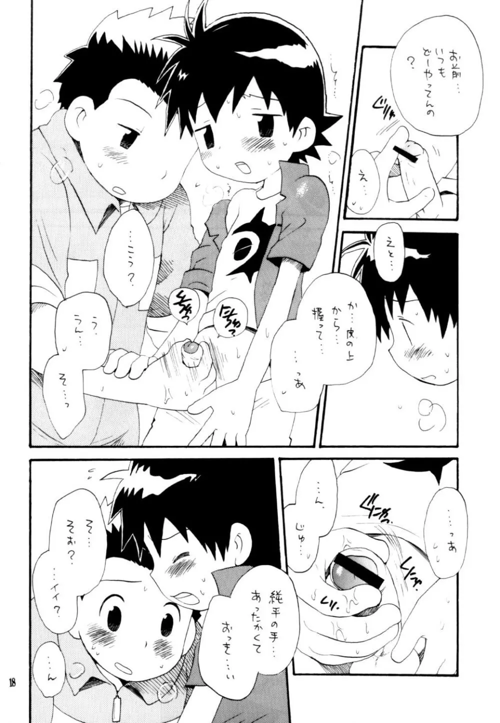 いなづまロックドーム Page.17