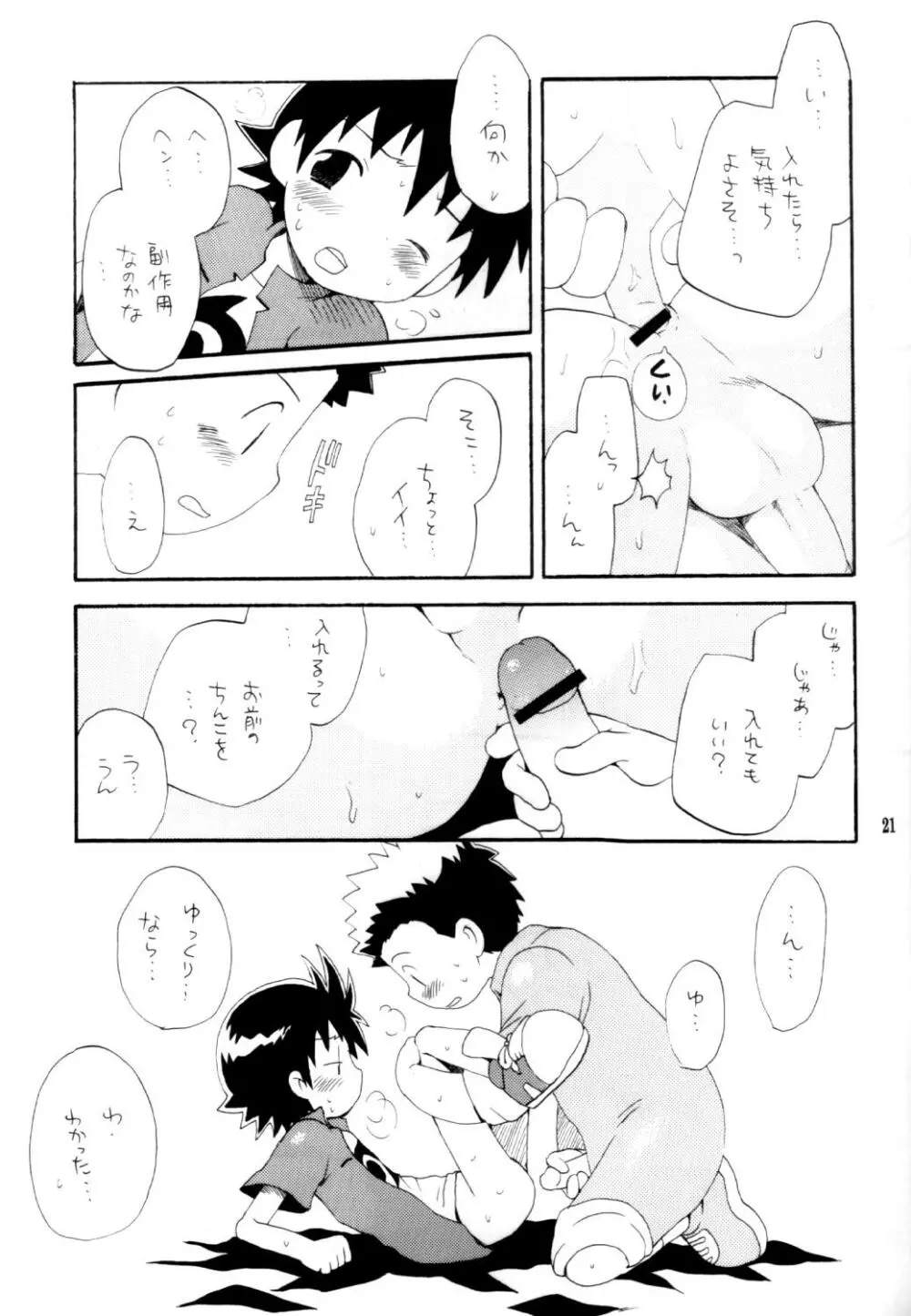 いなづまロックドーム Page.20