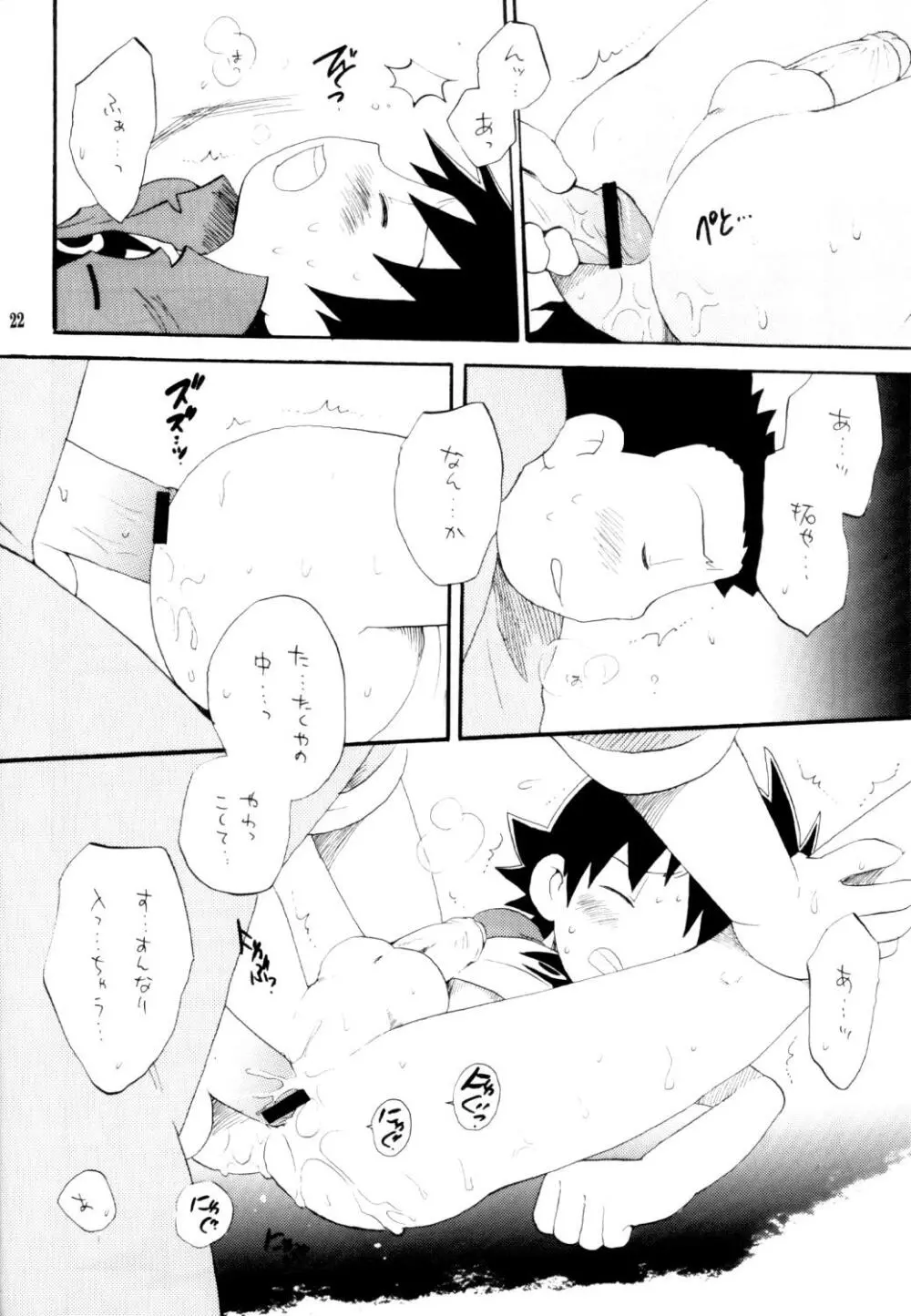 いなづまロックドーム Page.21