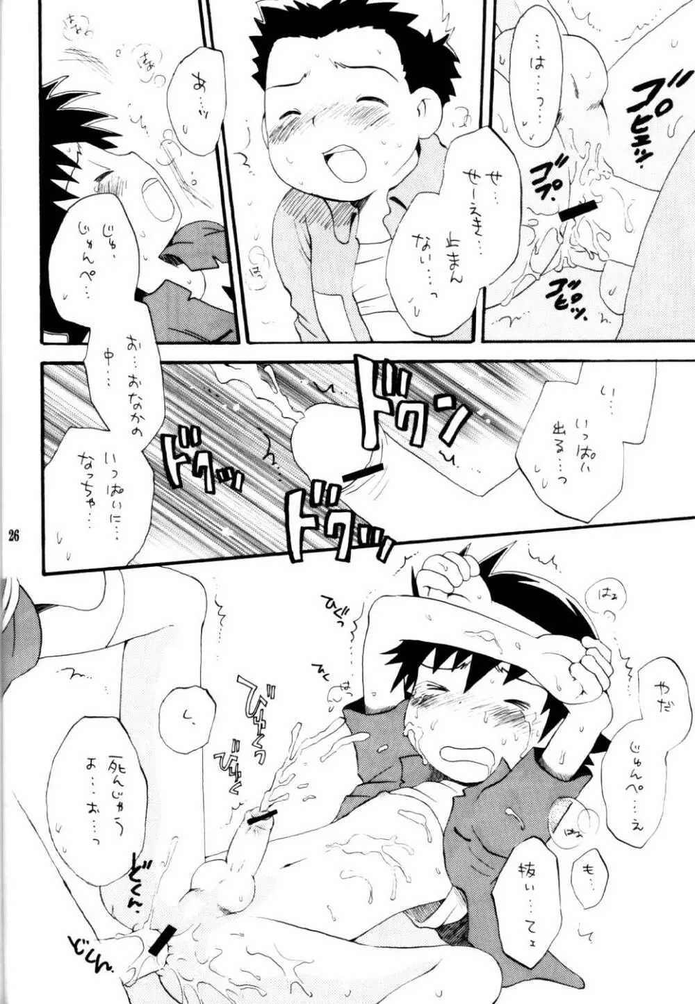 いなづまロックドーム Page.25