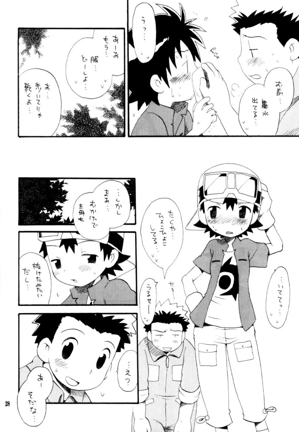 いなづまロックドーム Page.27