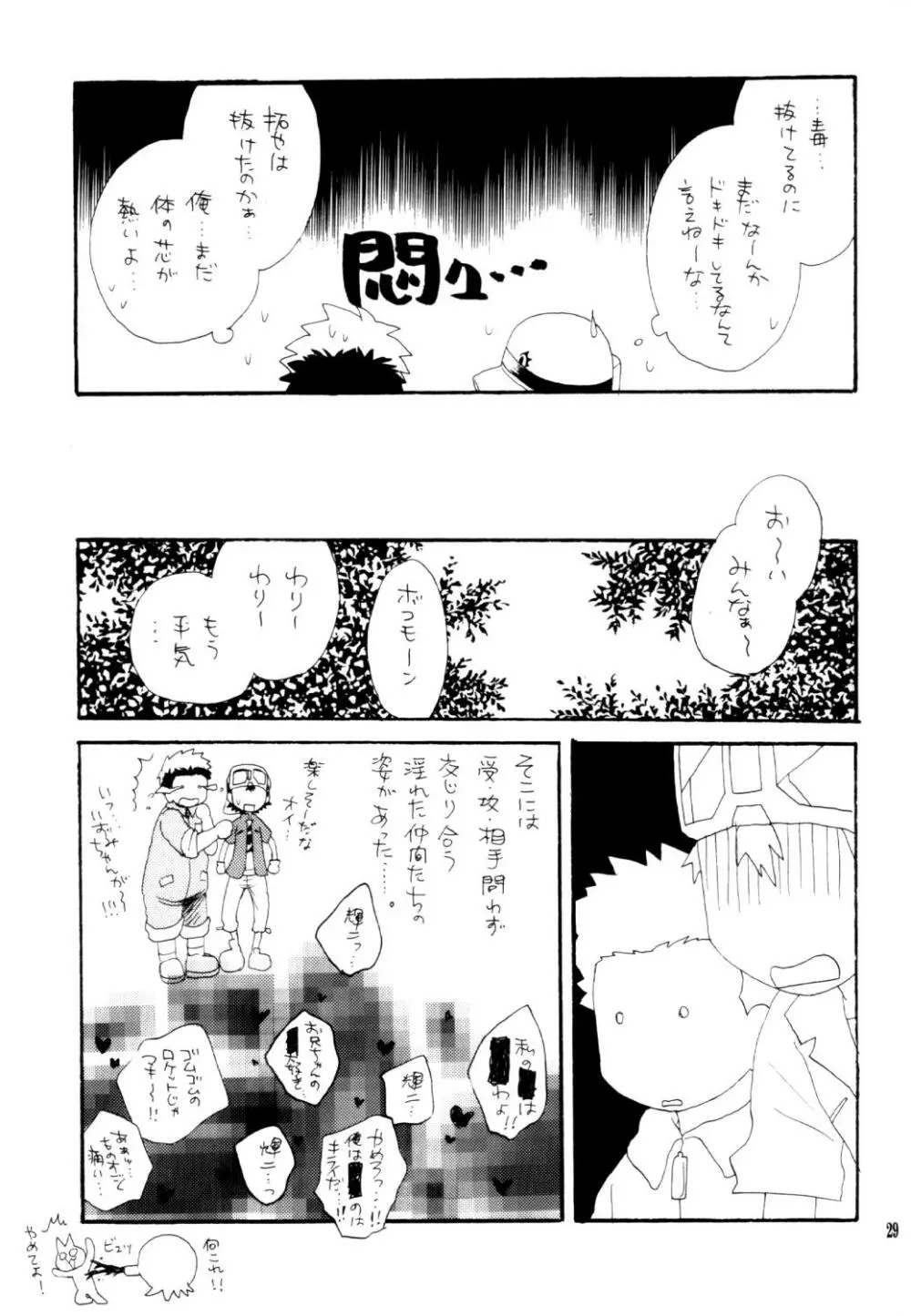 いなづまロックドーム Page.28