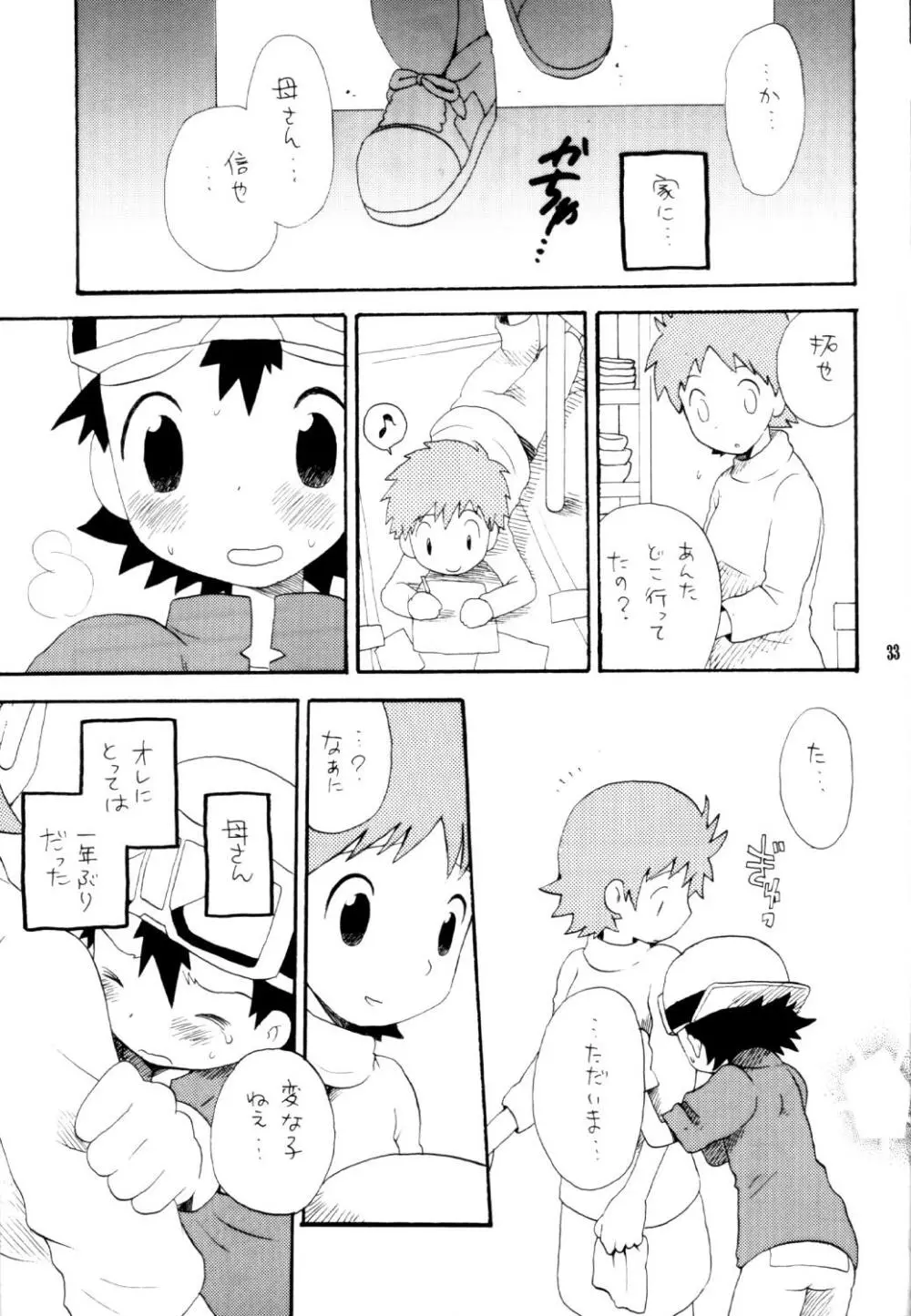 いなづまロックドーム Page.32