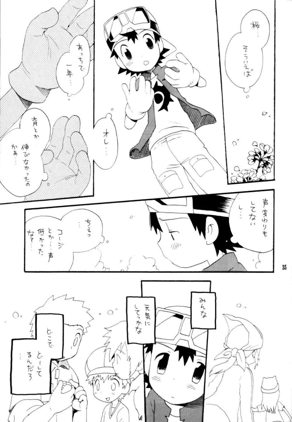 いなづまロックドーム Page.34