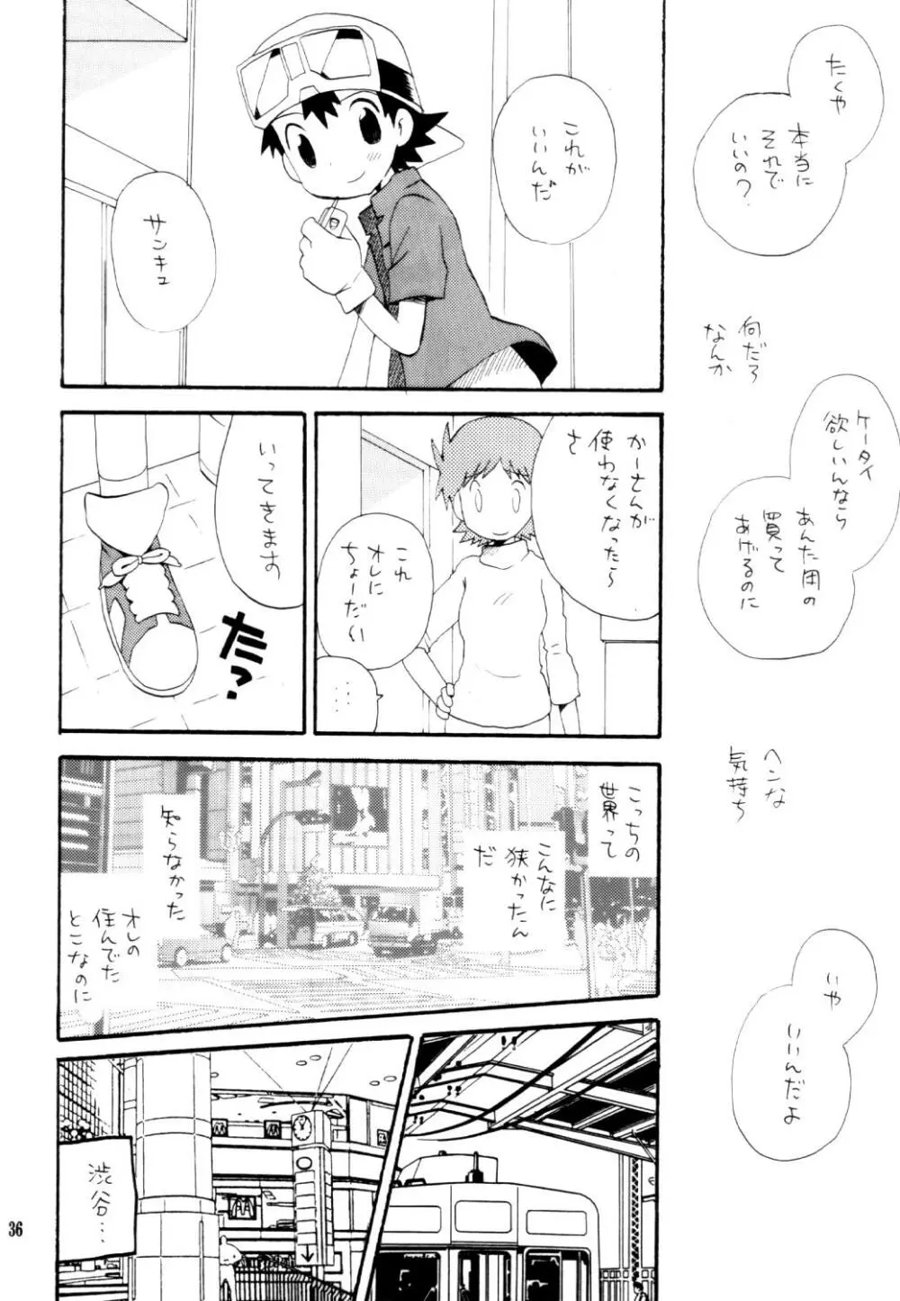 いなづまロックドーム Page.35