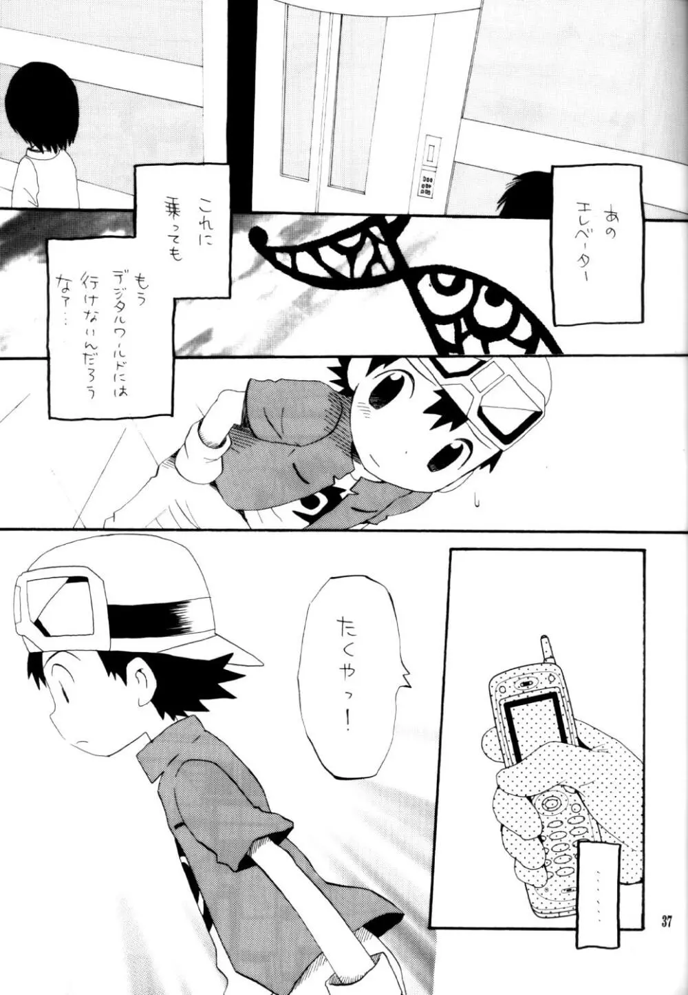 いなづまロックドーム Page.36