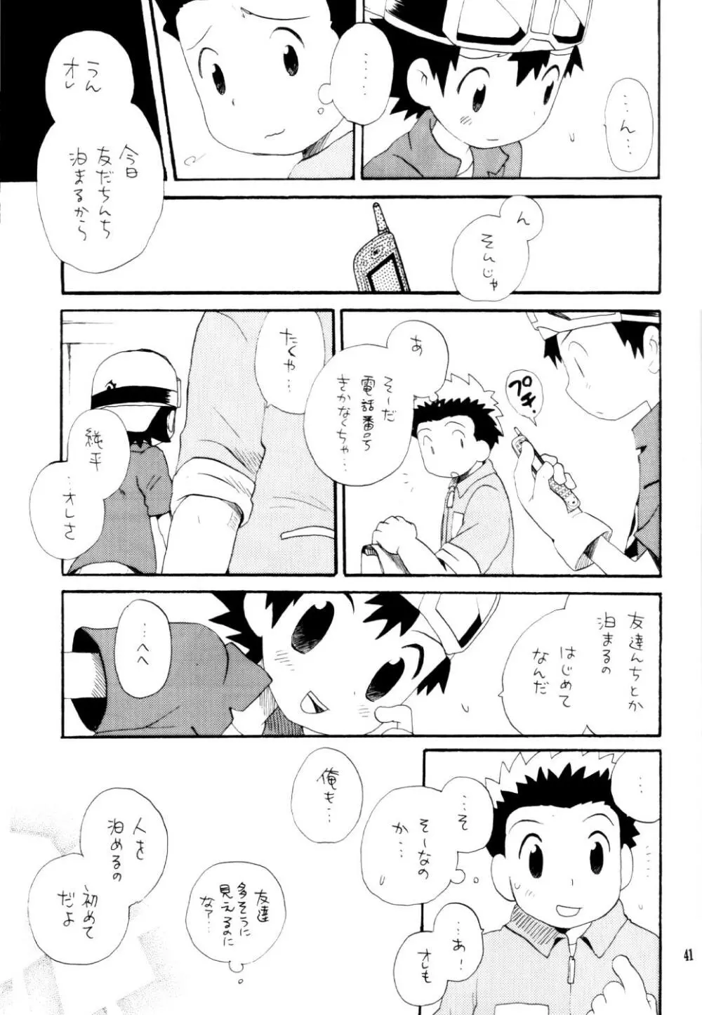 いなづまロックドーム Page.40