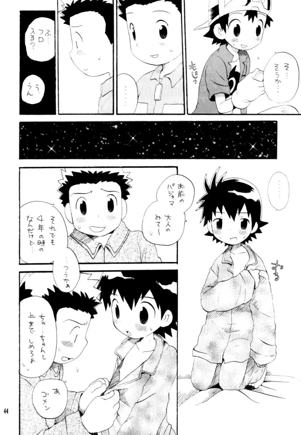 いなづまロックドーム Page.43