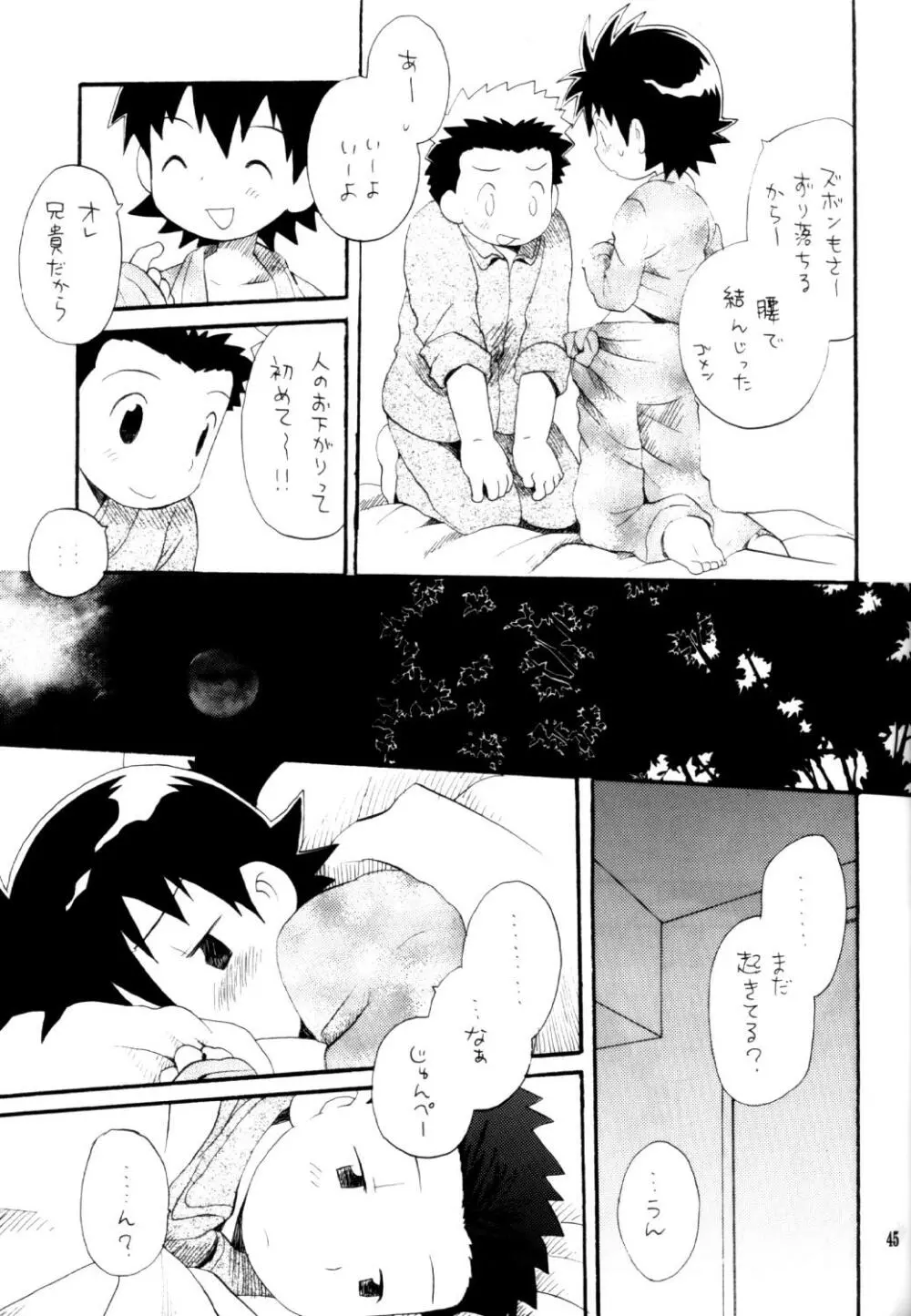 いなづまロックドーム Page.44