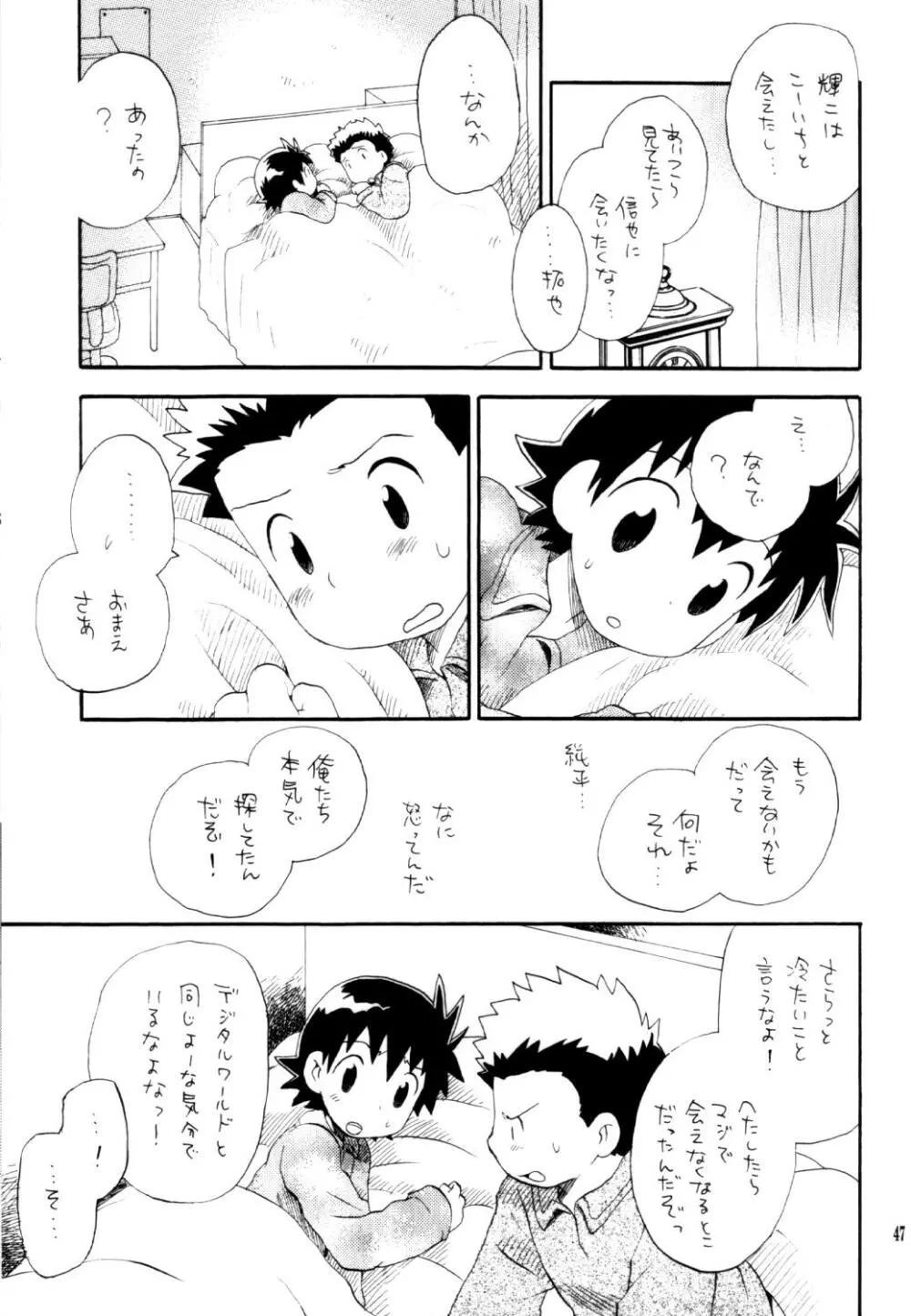 いなづまロックドーム Page.46
