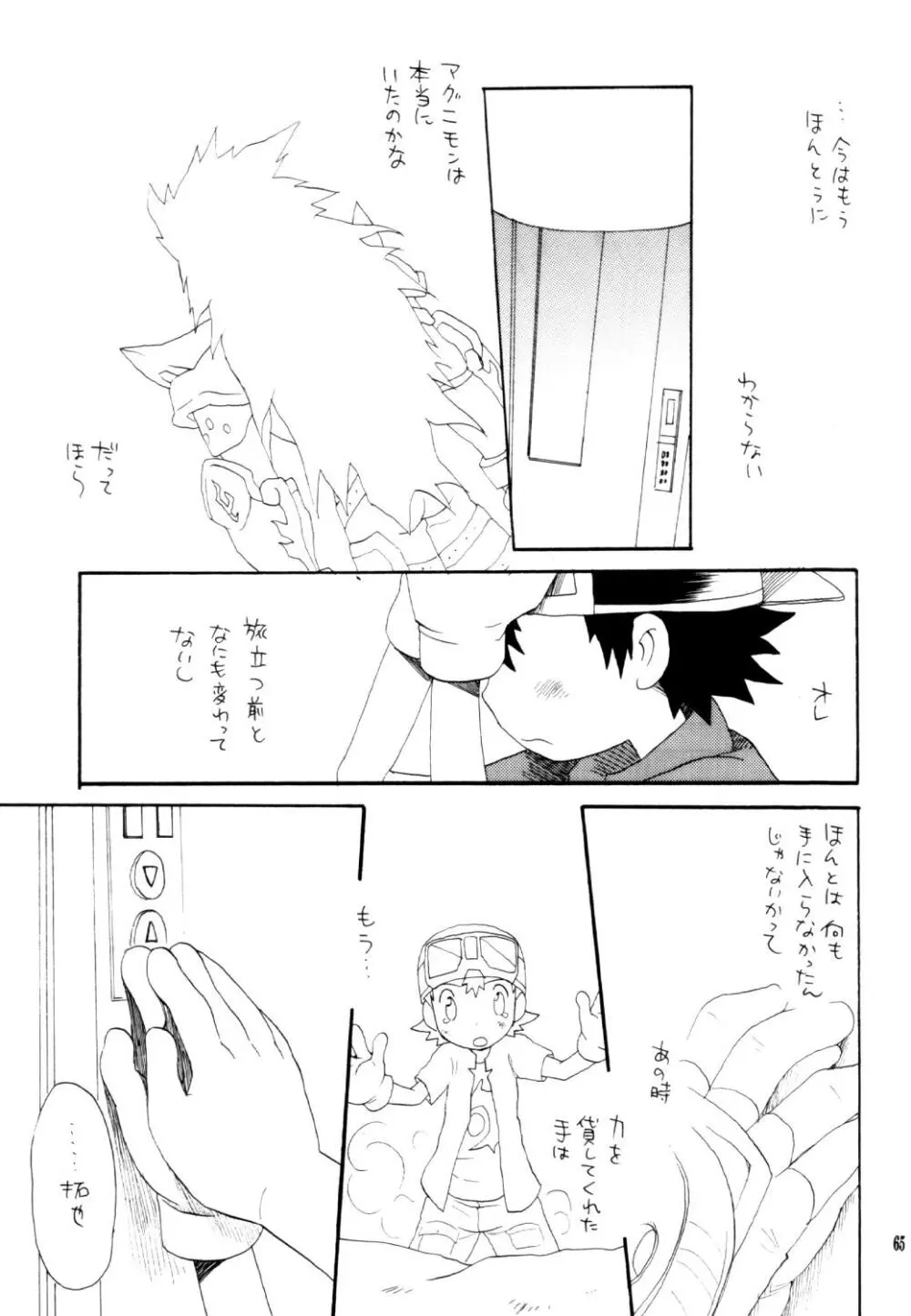 いなづまロックドーム Page.64