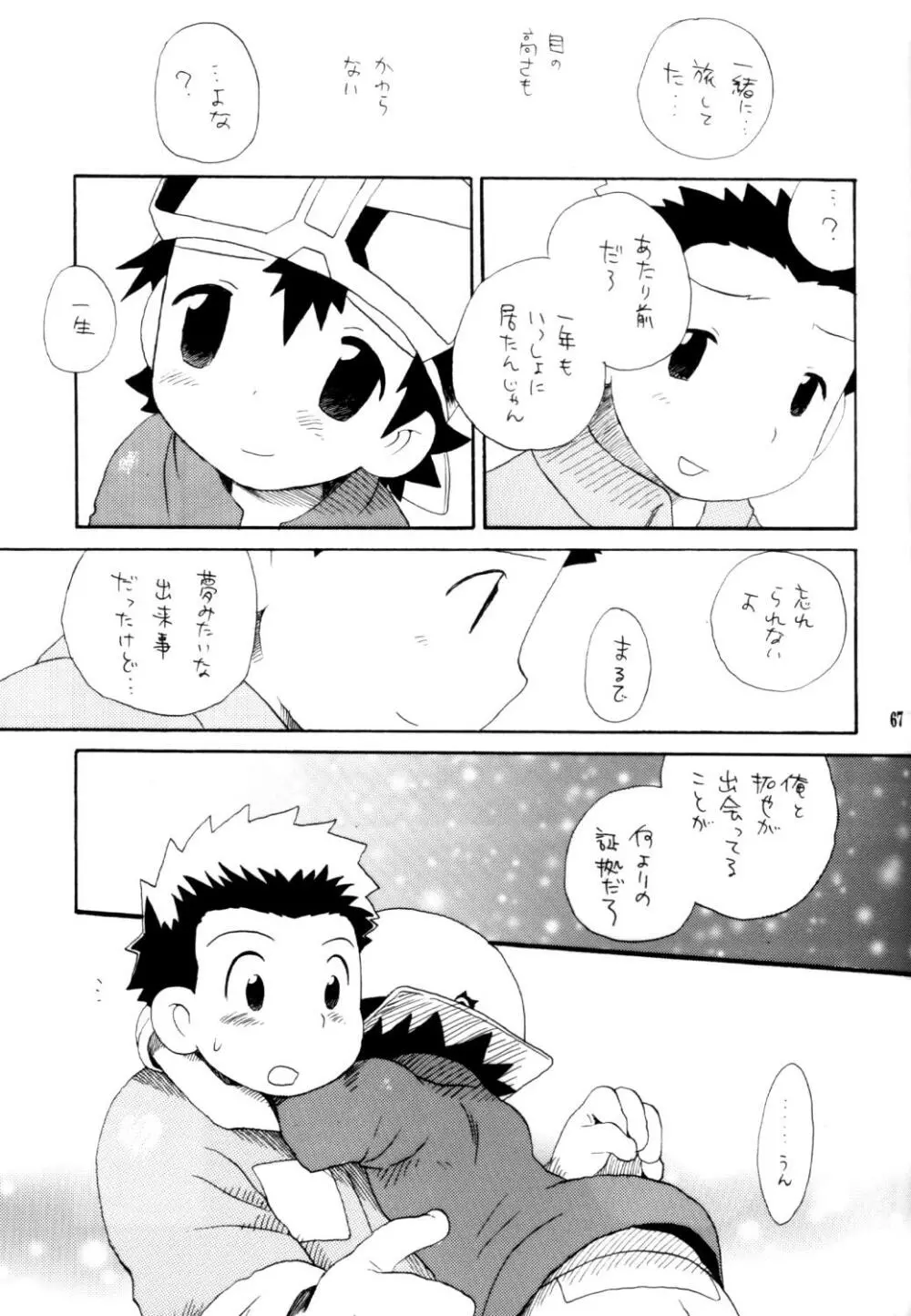 いなづまロックドーム Page.66