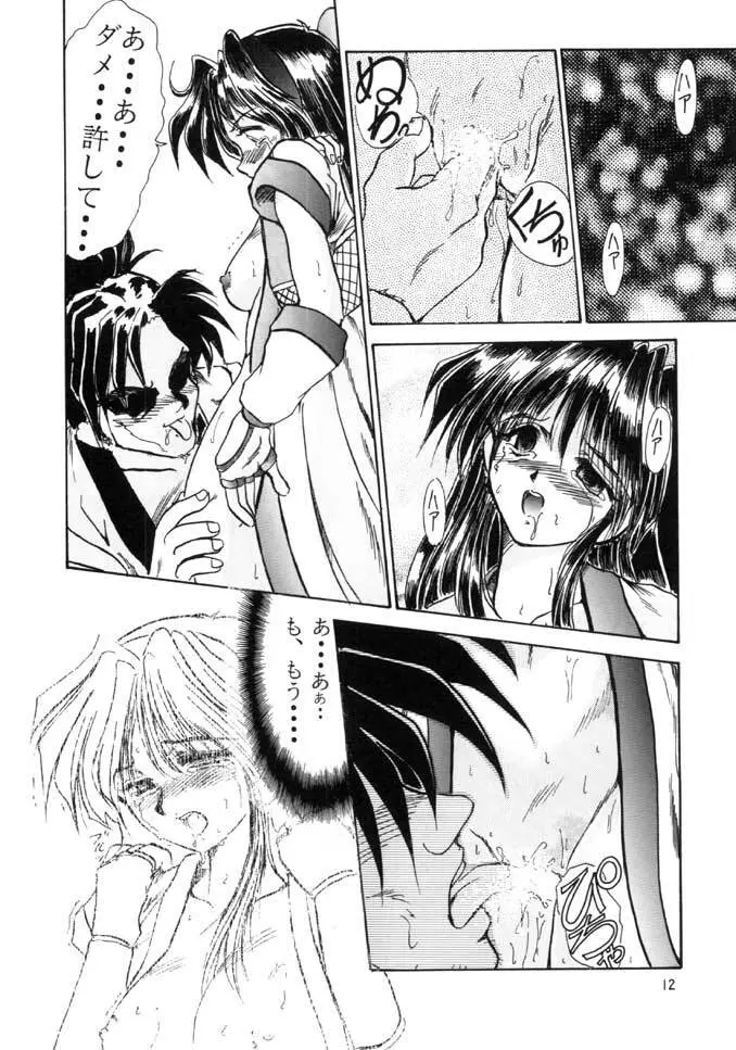F-25 侍 Page.11