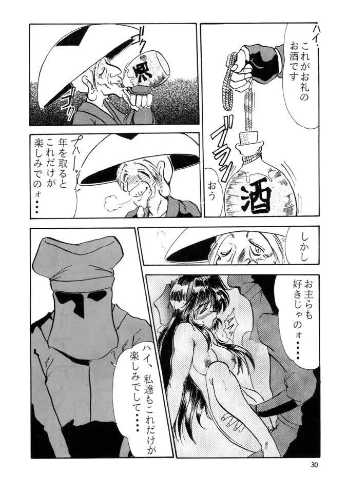 F-25 侍 Page.29