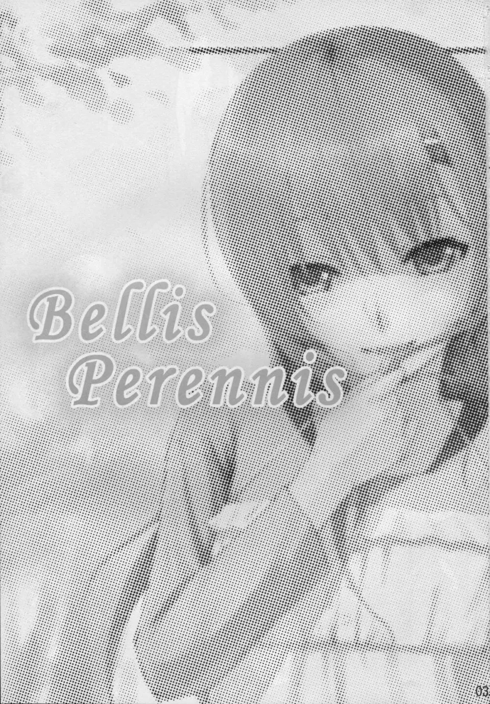 Bellis Perennis Page.2