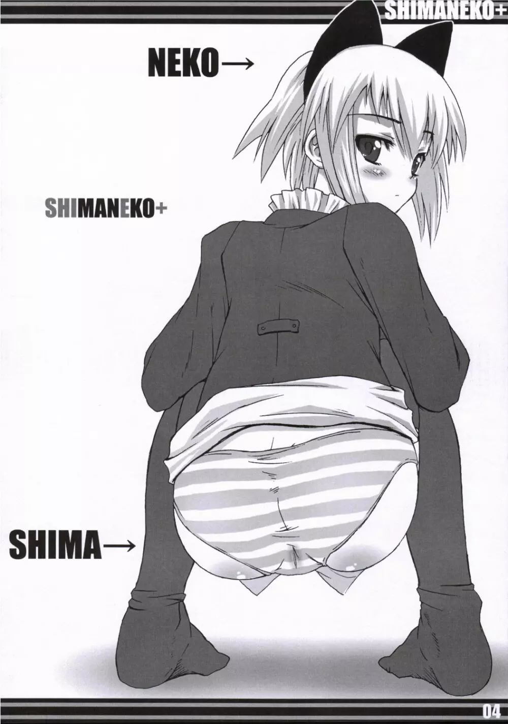 SHIMANEKO+ Page.3