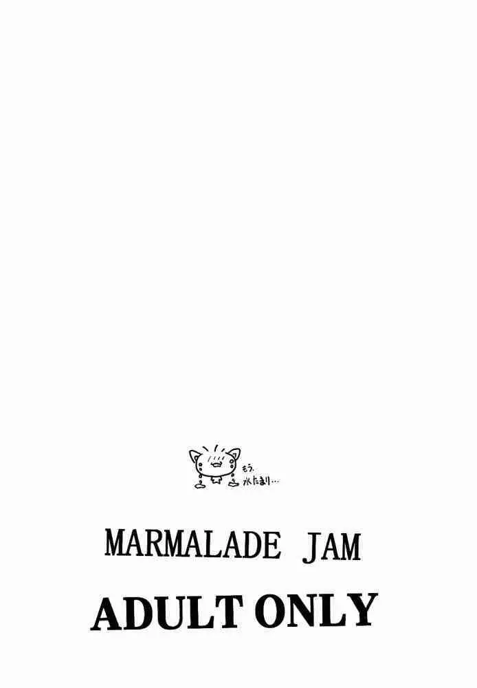 Marmalade Jam Page.16