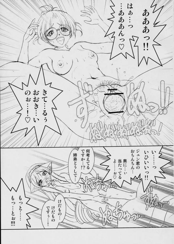 翠星石にゃん 3 Page.8
