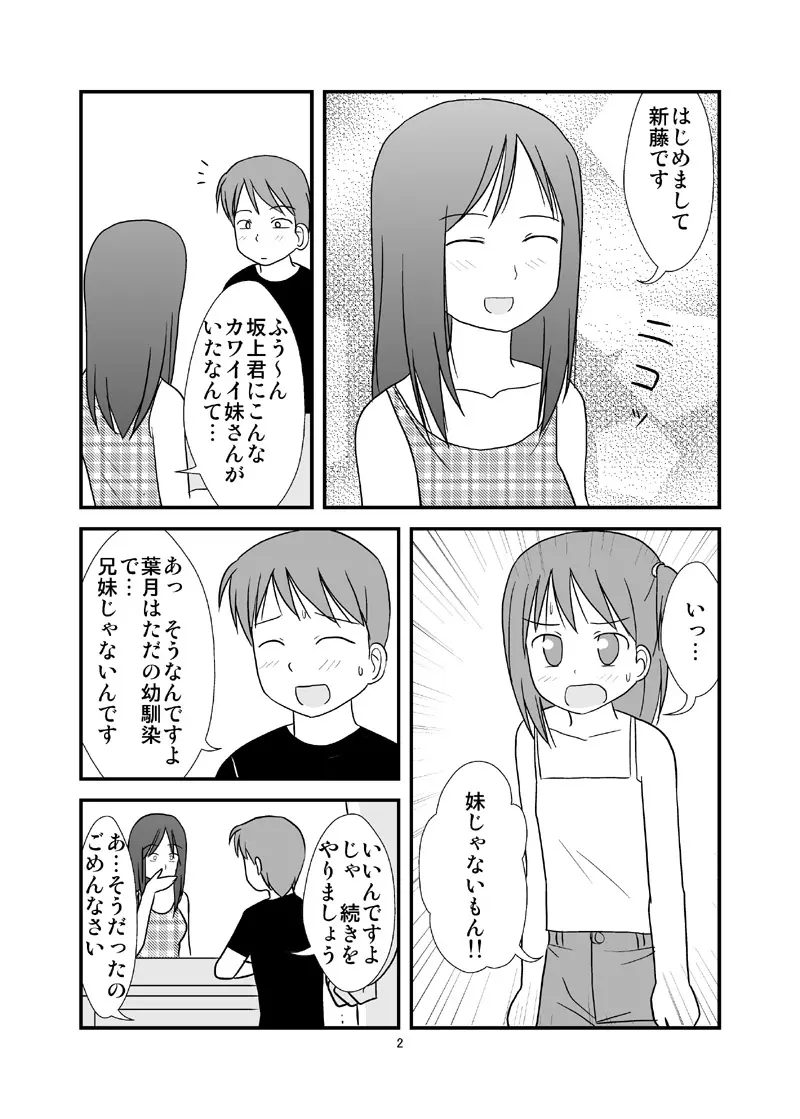DAISUKI! おにいちゃん ～妹じゃないもん～ Page.3