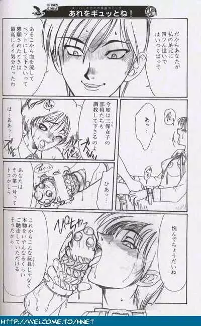 習慣性年サンデー特別増感号 Page.209