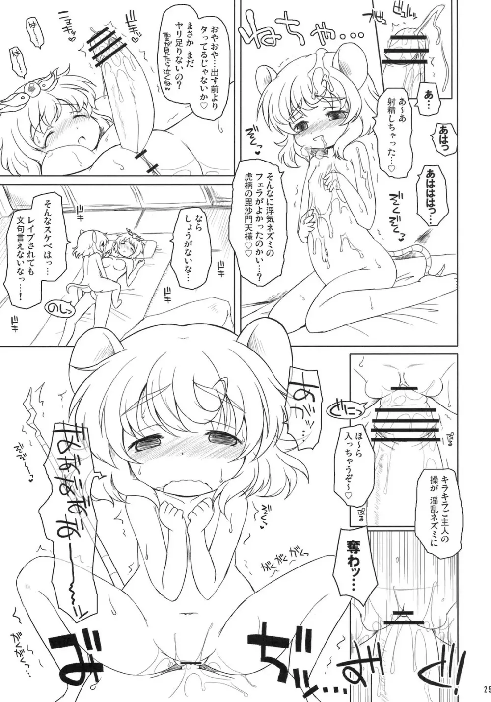 わたしのナズーリン 4 Page.24