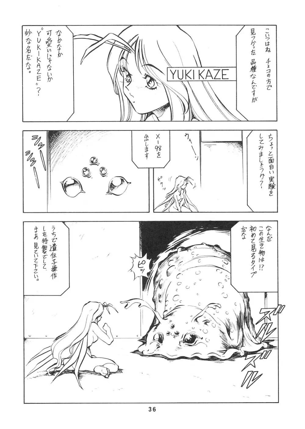 妖精天国 蓬莱王 Page.35