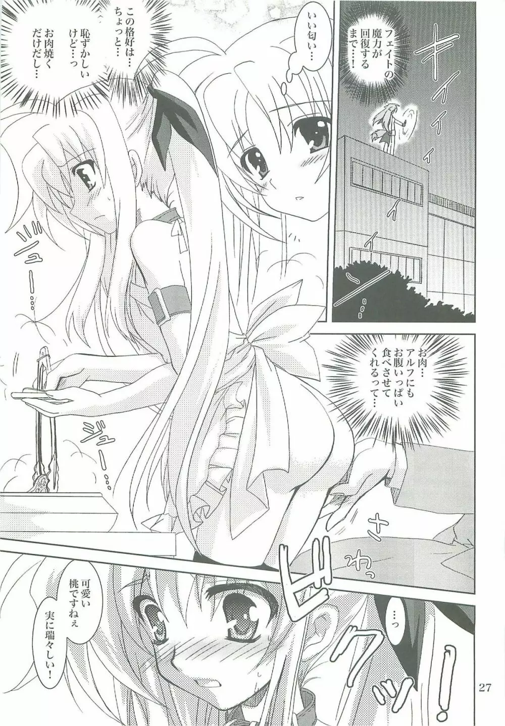 魔法少女マジカルSEED LOGIC Page.27