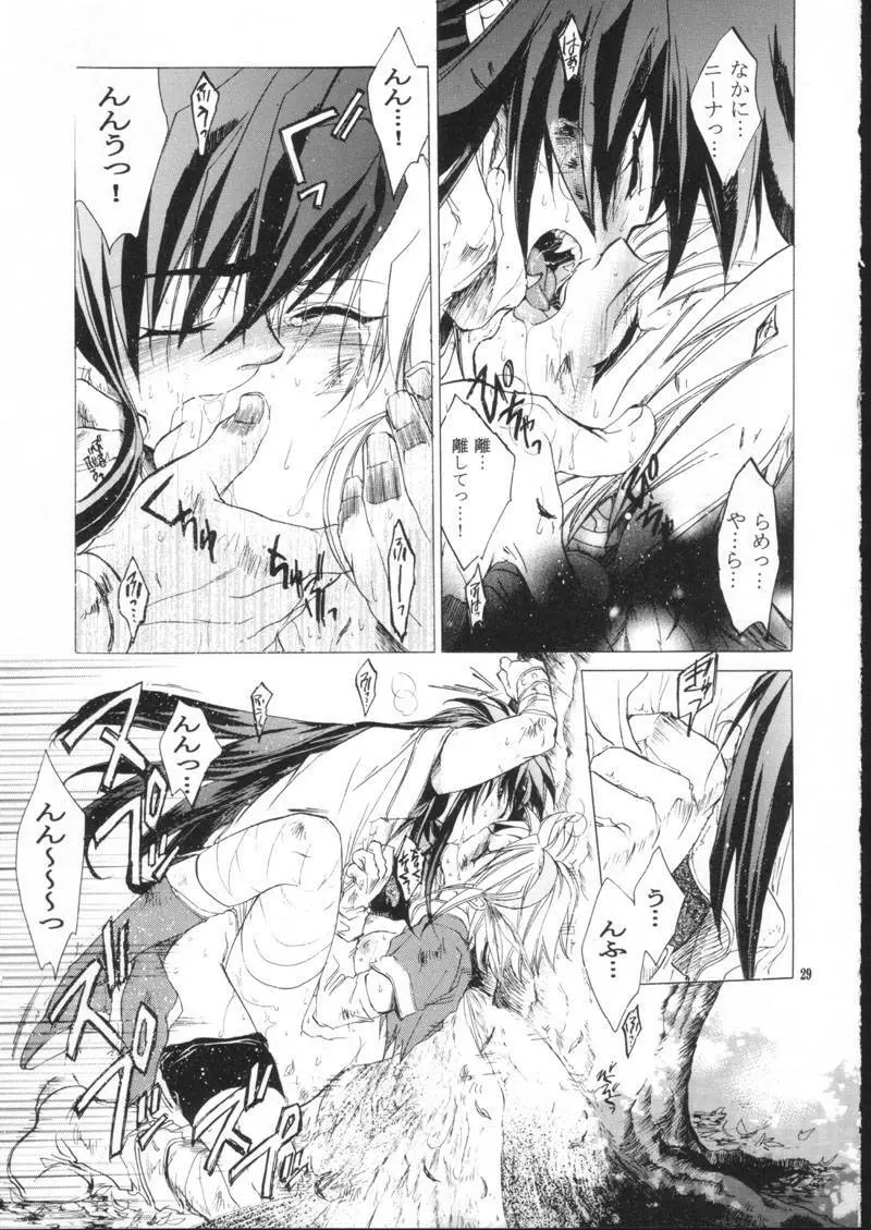 side:NINA 竜の眼の風景～second Page.29