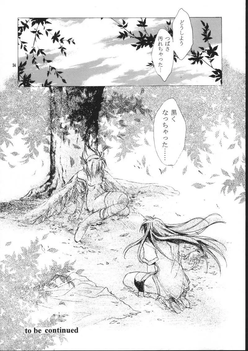side:NINA 竜の眼の風景～second Page.34