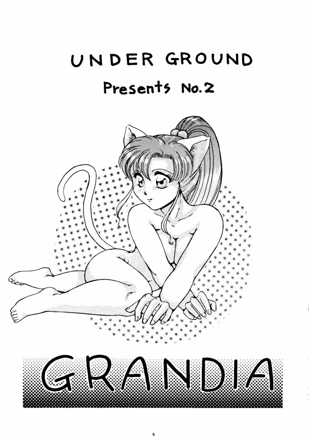 Grandia Page.2