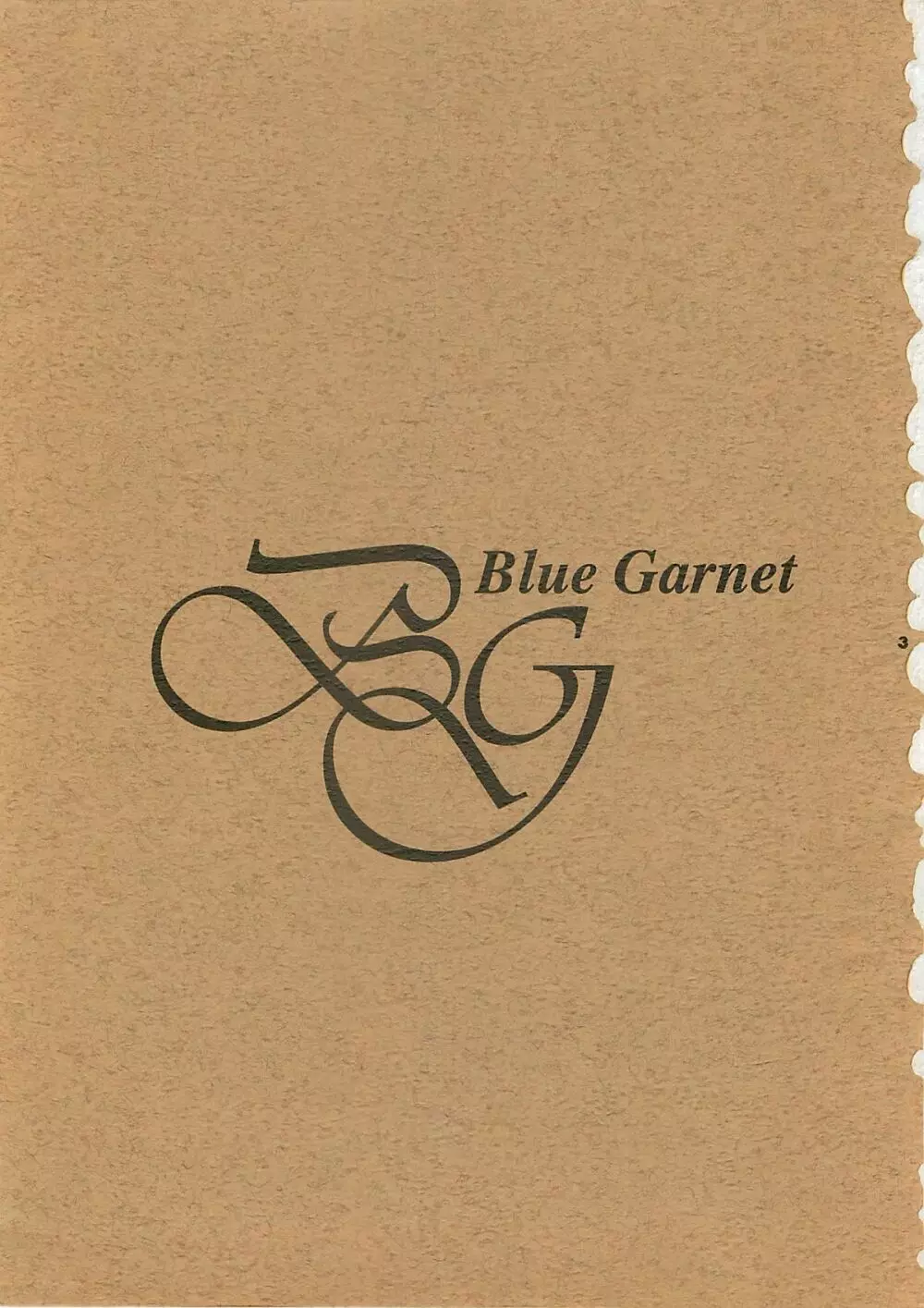 Blue Garnet Vol.4 禁区 Page.2
