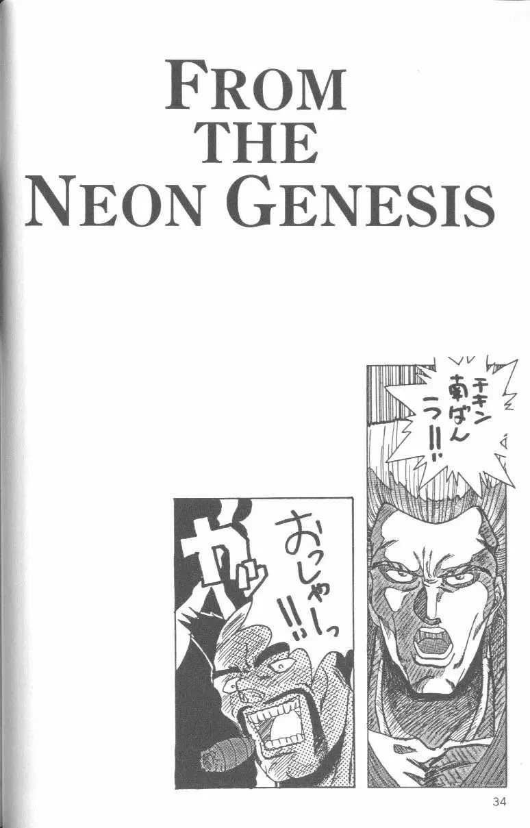 From the Neon Genesis 01 Page.34