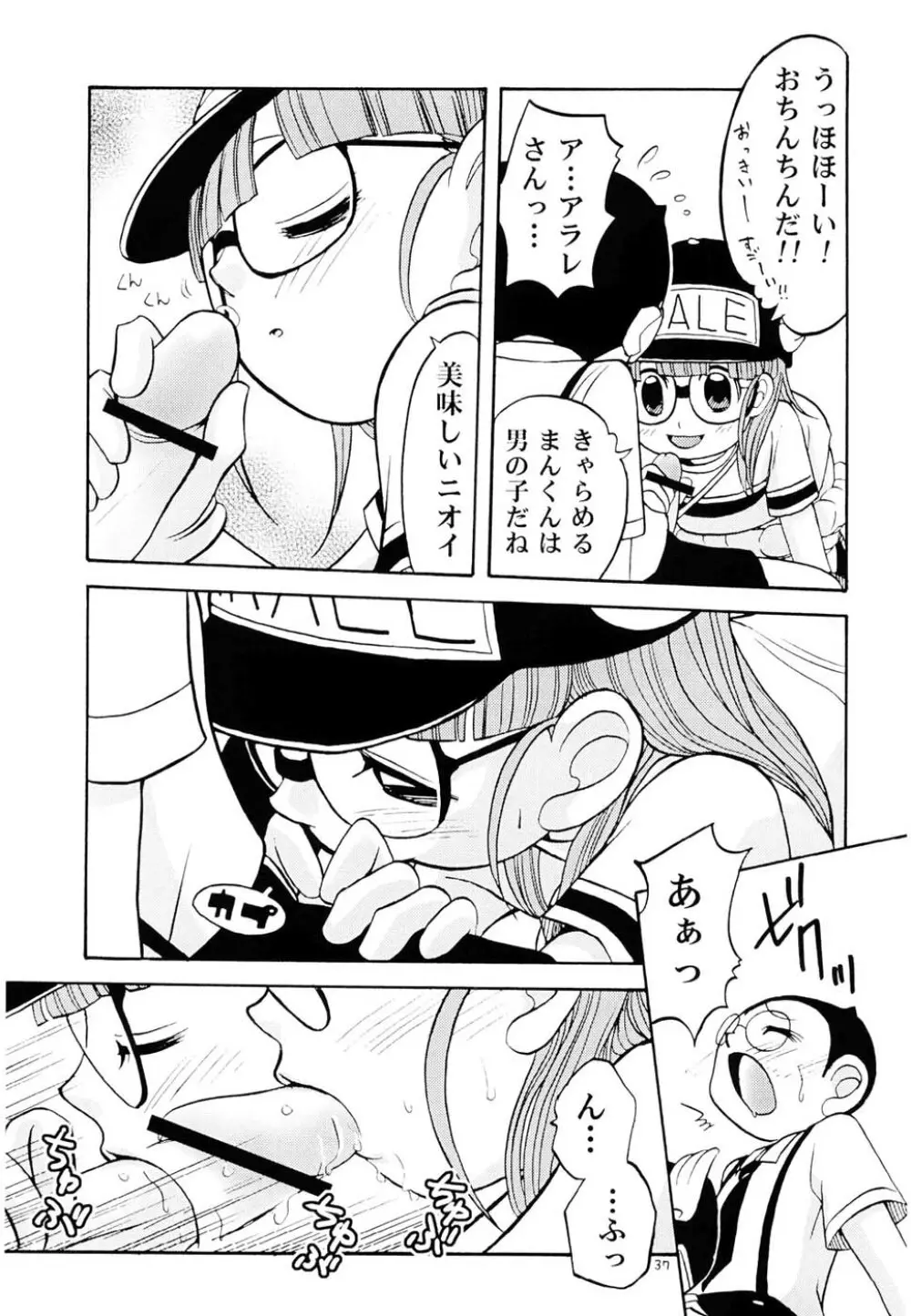 PROJECT ARALE Page.36