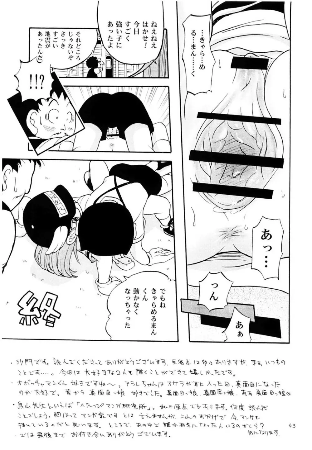 PROJECT ARALE Page.42