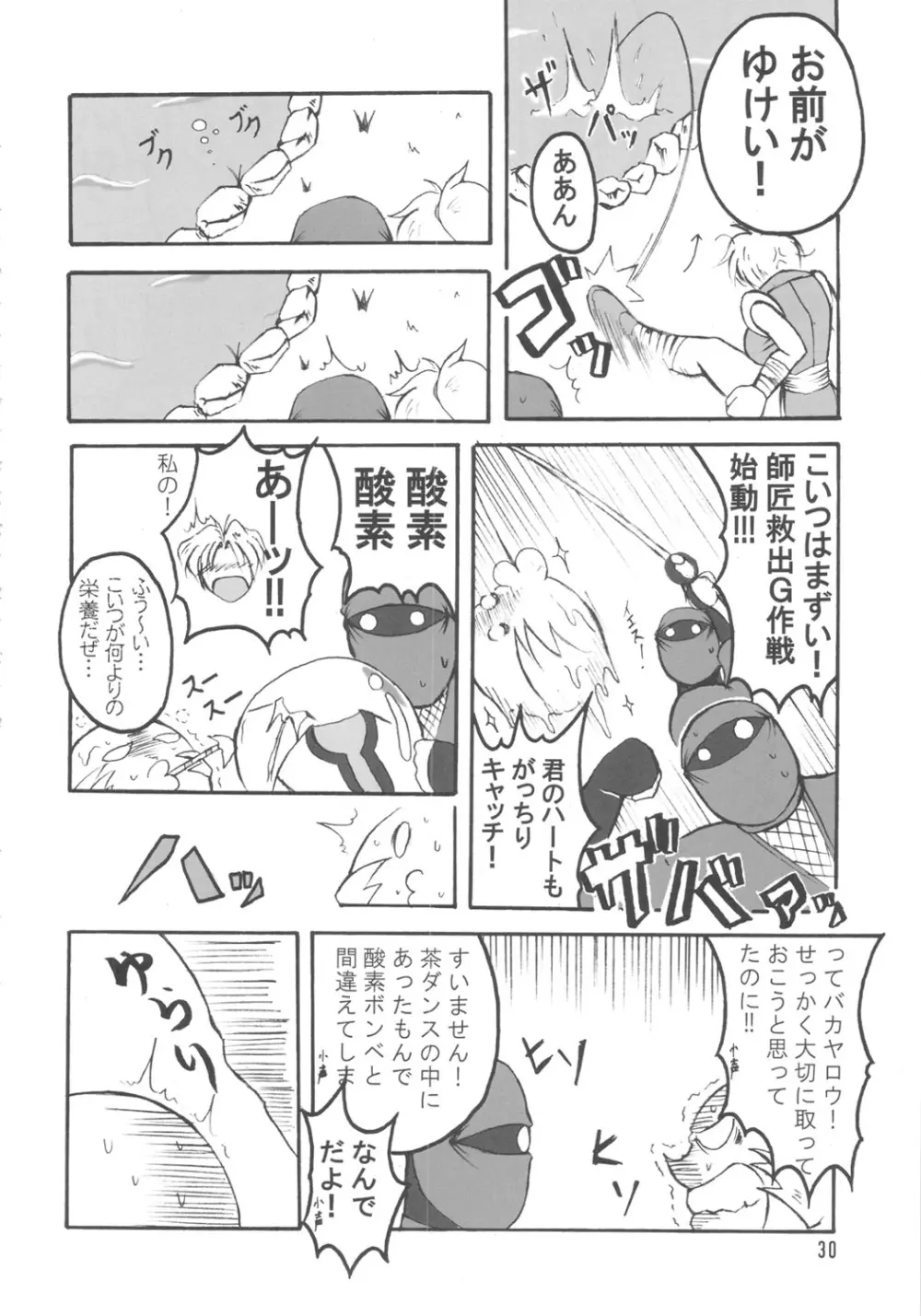 ブブンがブシン伝 4 総集編 Page.29