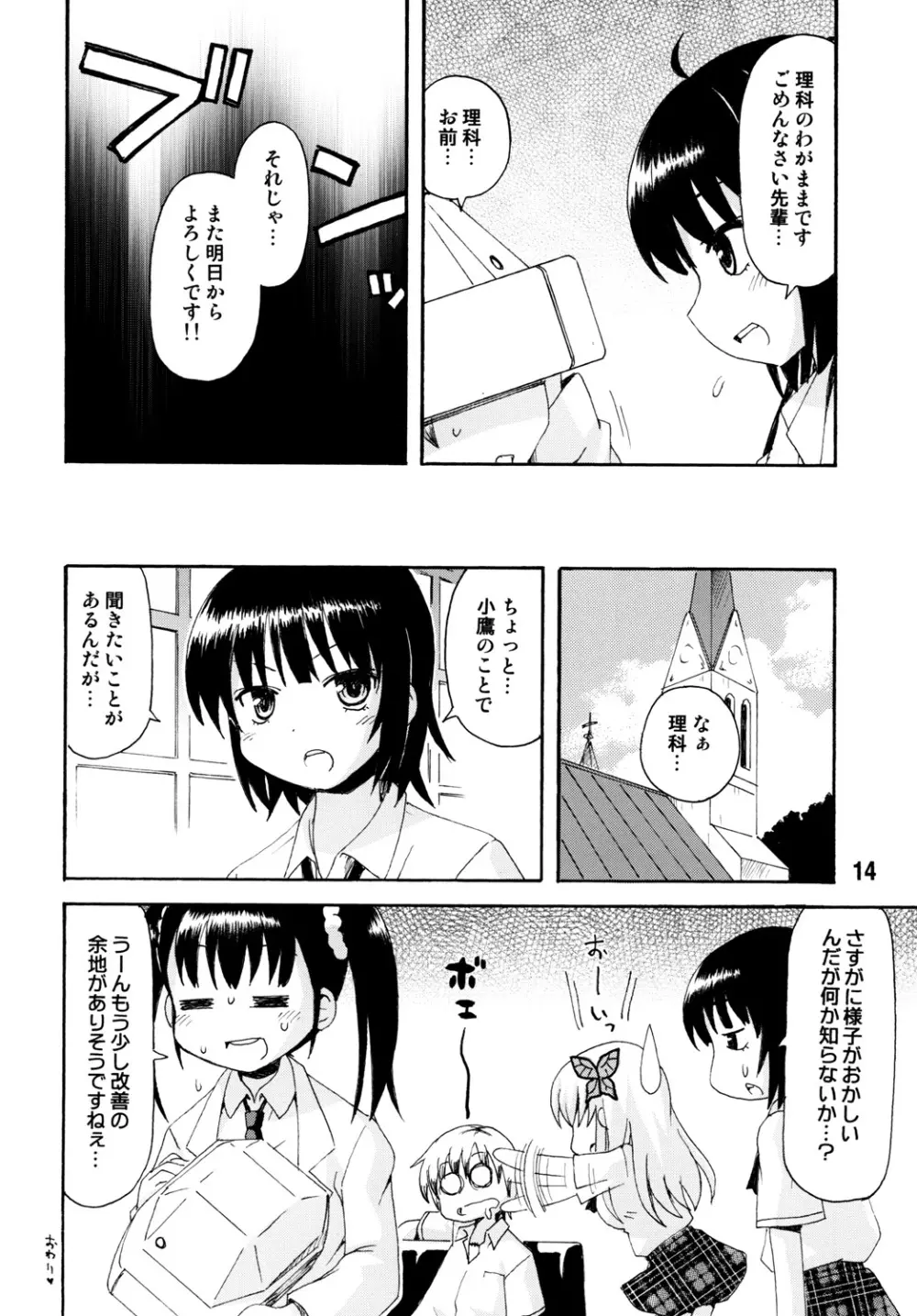 ハガナイックス Page.13