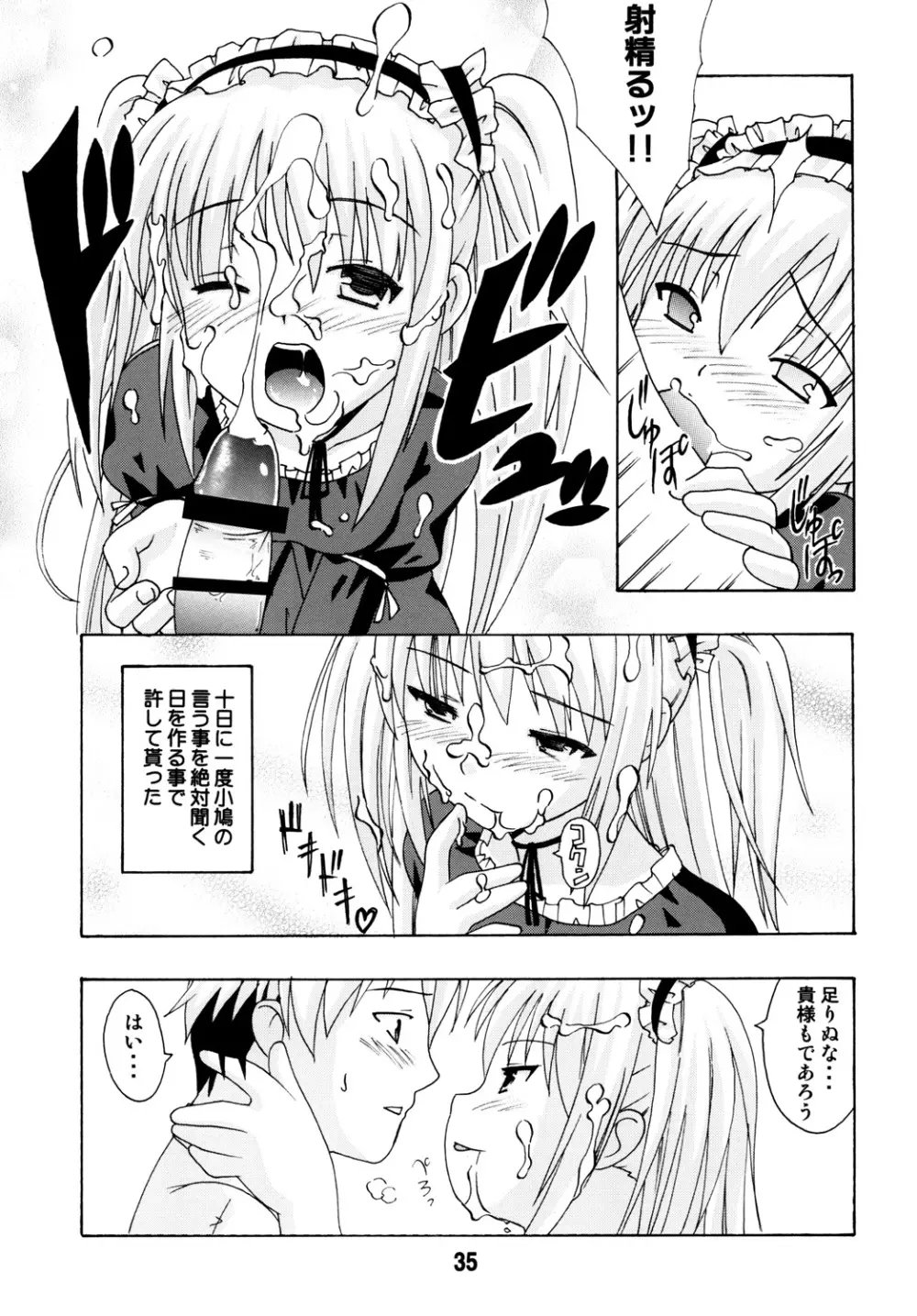 ハガナイックス Page.34