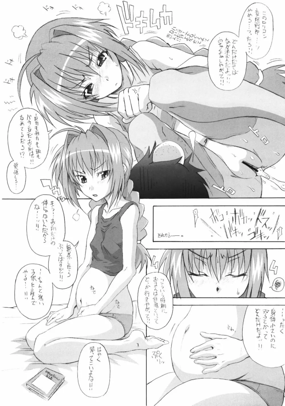 ヴィータ妄想日記 Page.14