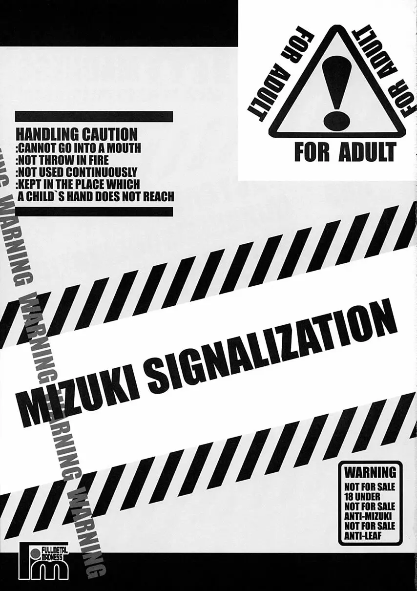 MIZUKI SIGNALIZATION Page.2