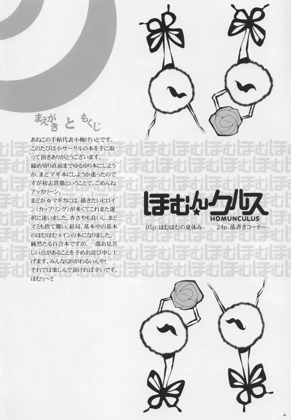 ほむん★クルス Page.3