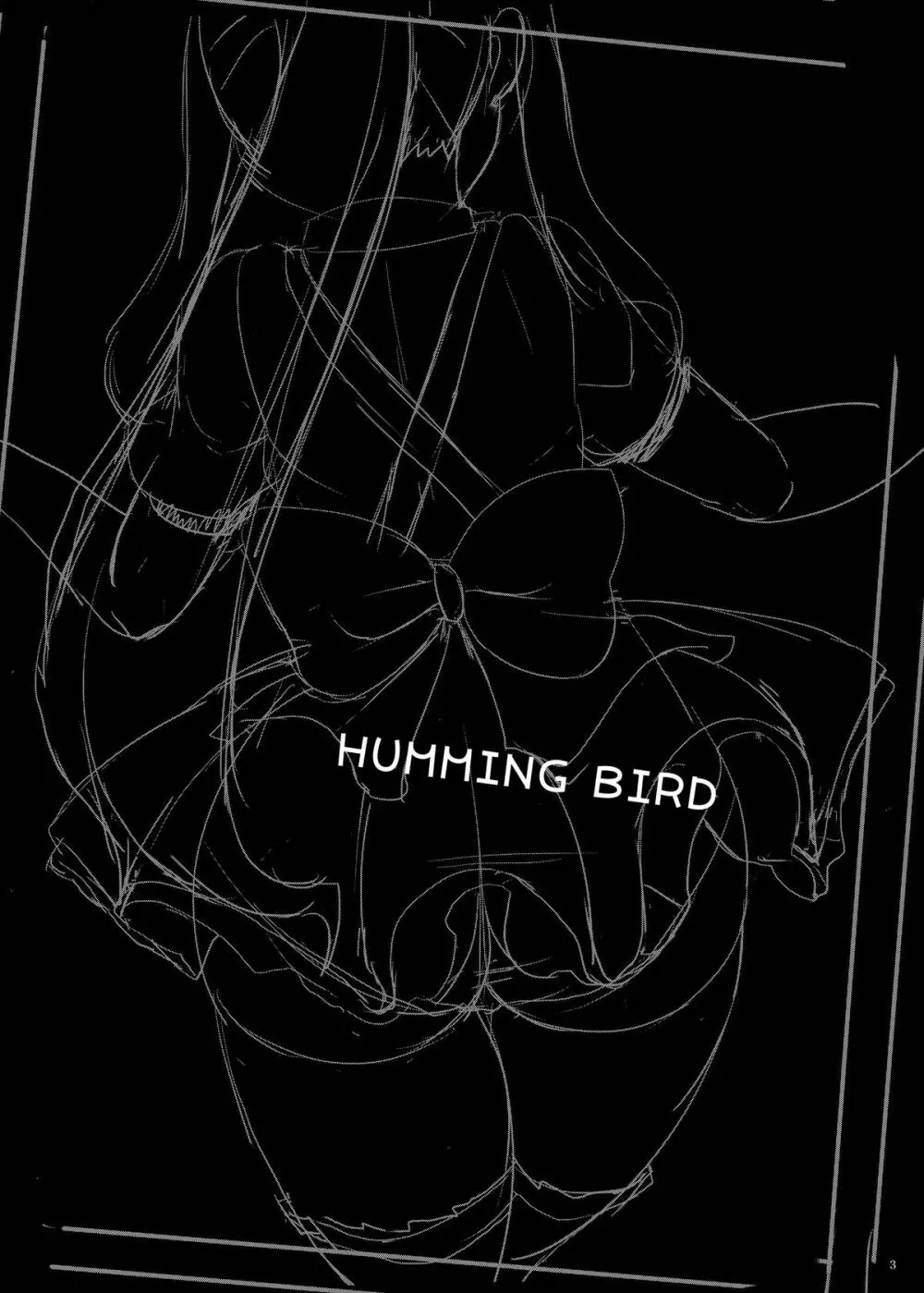 HUMMING BIRD Page.3
