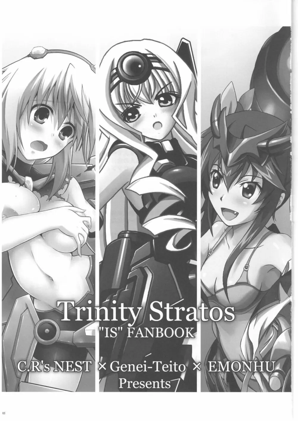 Trinity Stratos Page.3