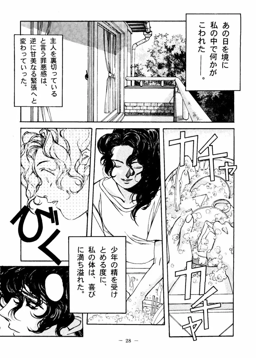 大人の童話 Vol.6 Page.27