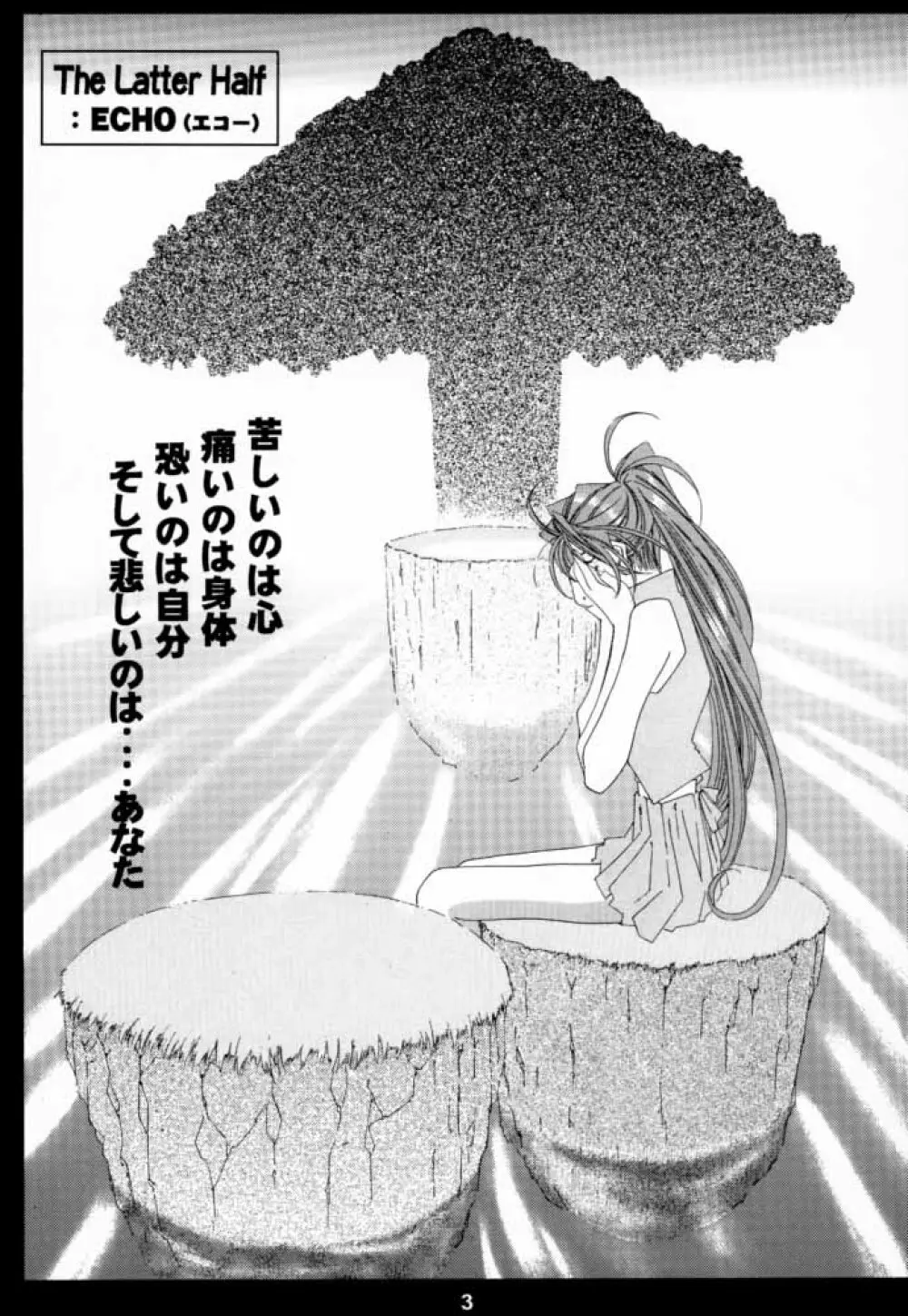 [RPGカンパニー2 (遠海はるか)] Silent Bell -Echo- Ah! My Goddess Outside-Story (ああっ女神さまっ) Page.2