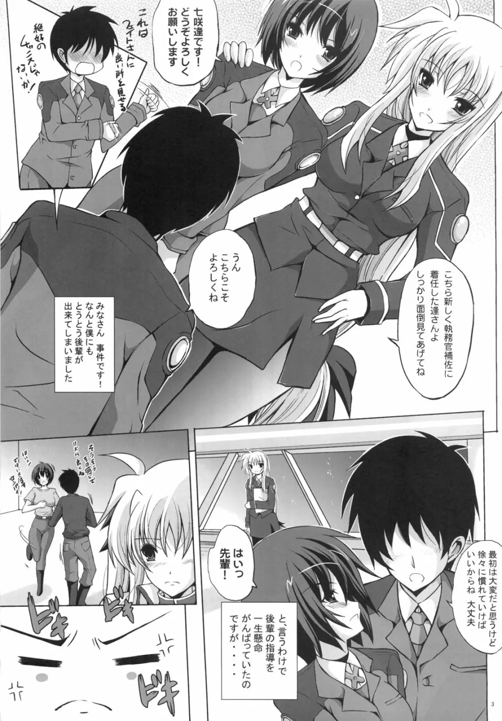 新妻フェイト2 執務官だってさみしいの！ Page.2