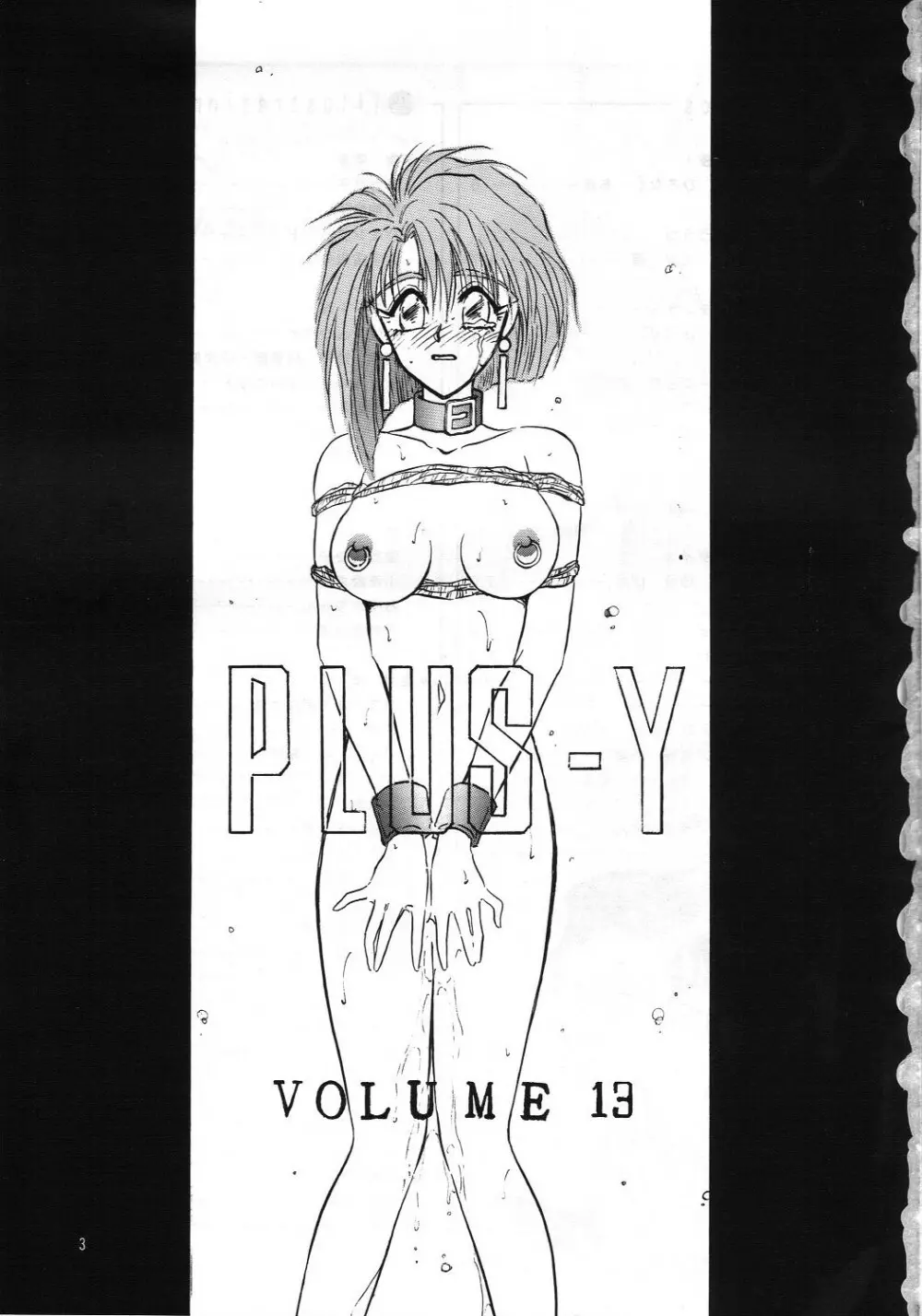 PLUS-Y Vol.13 Page.2