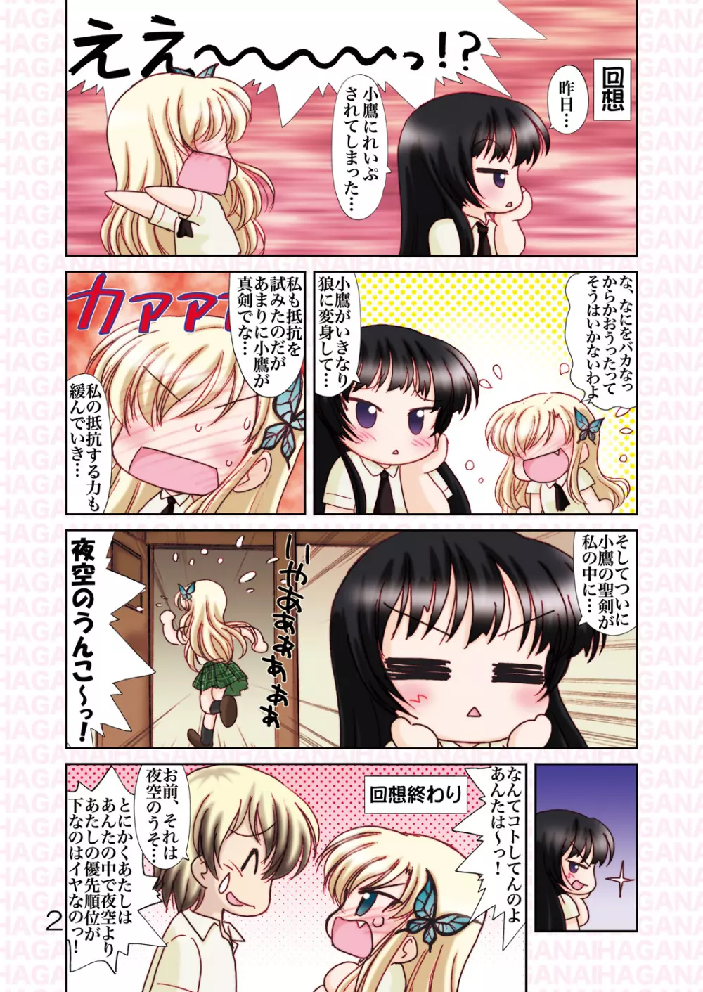 柏崎さん家のおいしい肉+ Page.11