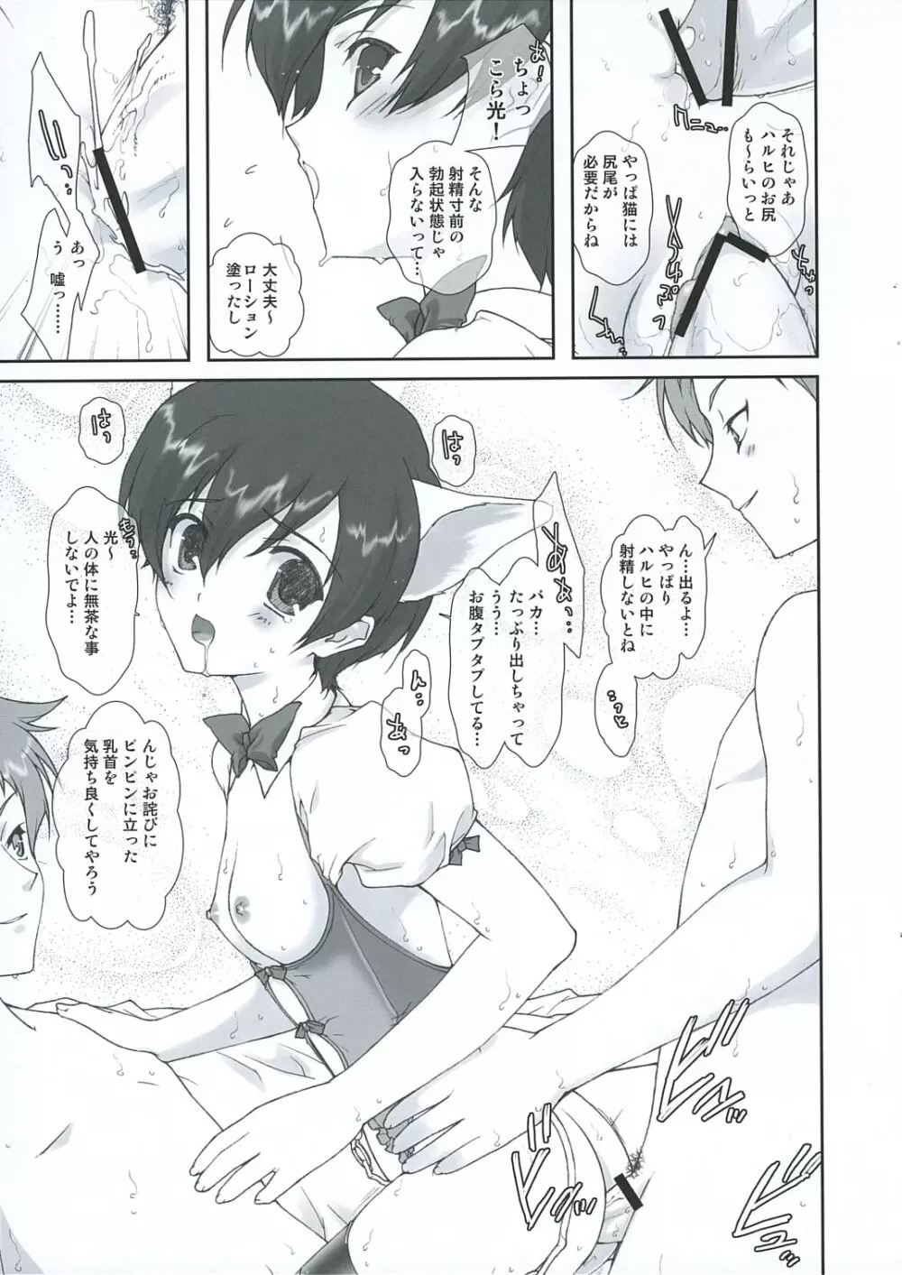 桜蘭高校ホスト部ファン倶楽部 Page.17