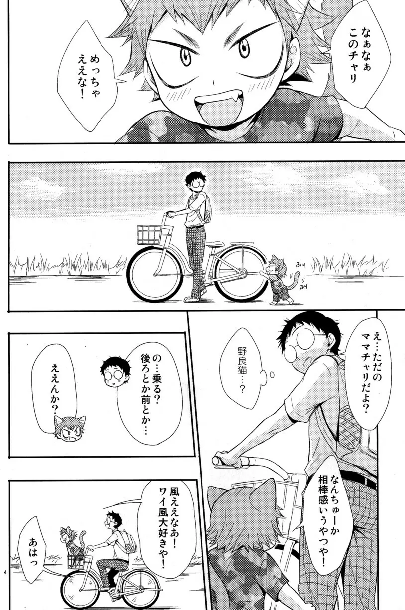 にゃるこい Page.4