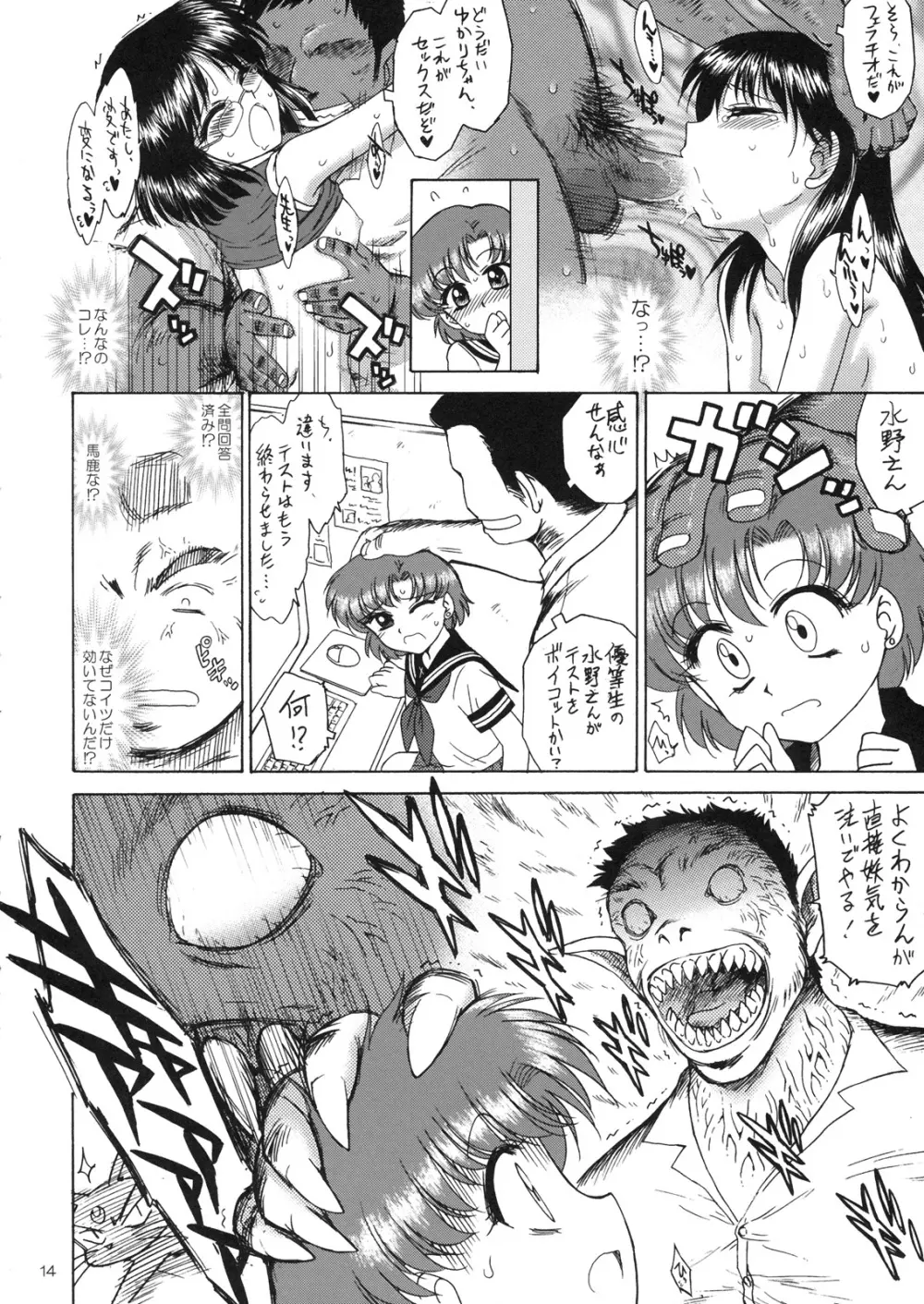 SUBMISSION-R RE・MERCURY Page.13